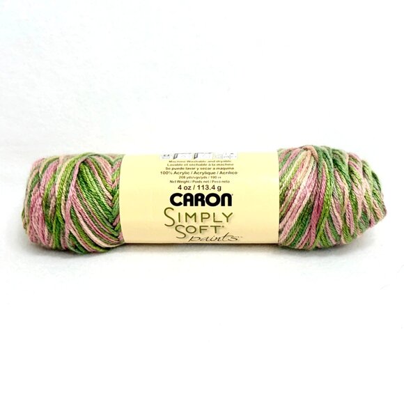 RESERVED FOR BRENNABELLA Caron Simply Soft Paints Yarn  - 4 SKEIN LOT - Picture 1 of 5